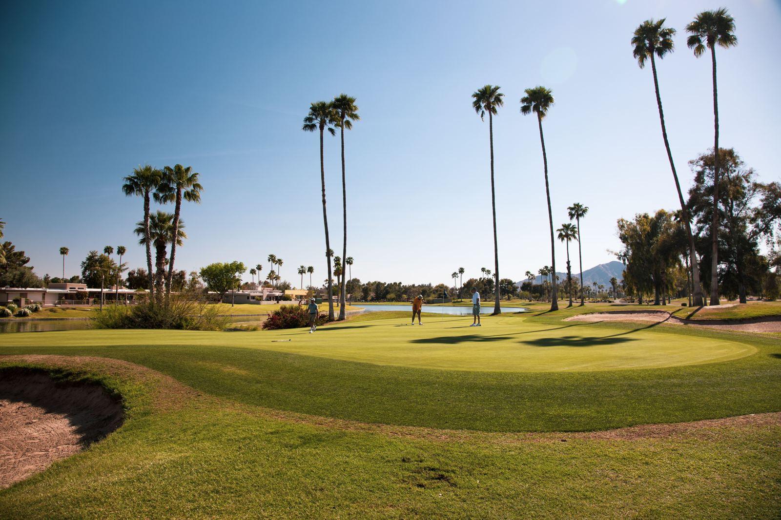 A palm-lined golf course at sunset