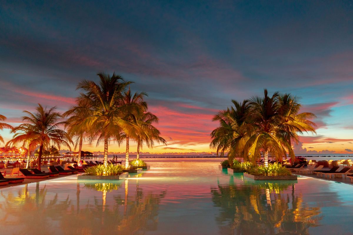 An infinity pool and palms at sunset